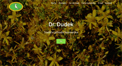 Desktop Screenshot of dr-dudek.cz